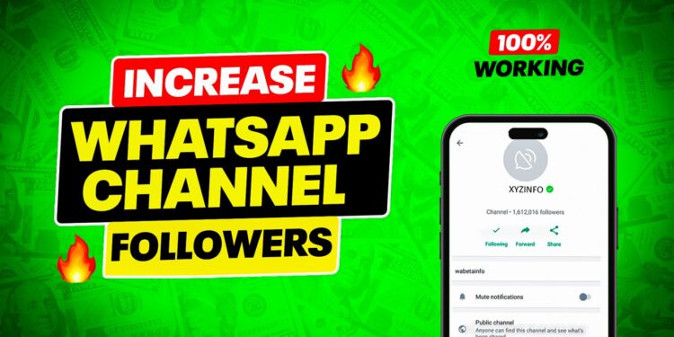 How To Increase WhatsApp Channel Followers