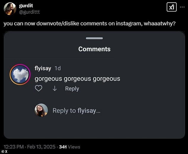 Instagram’s ‘Dislike’ Feature in Comment Sparks Backlash: Helpful or Harmful?